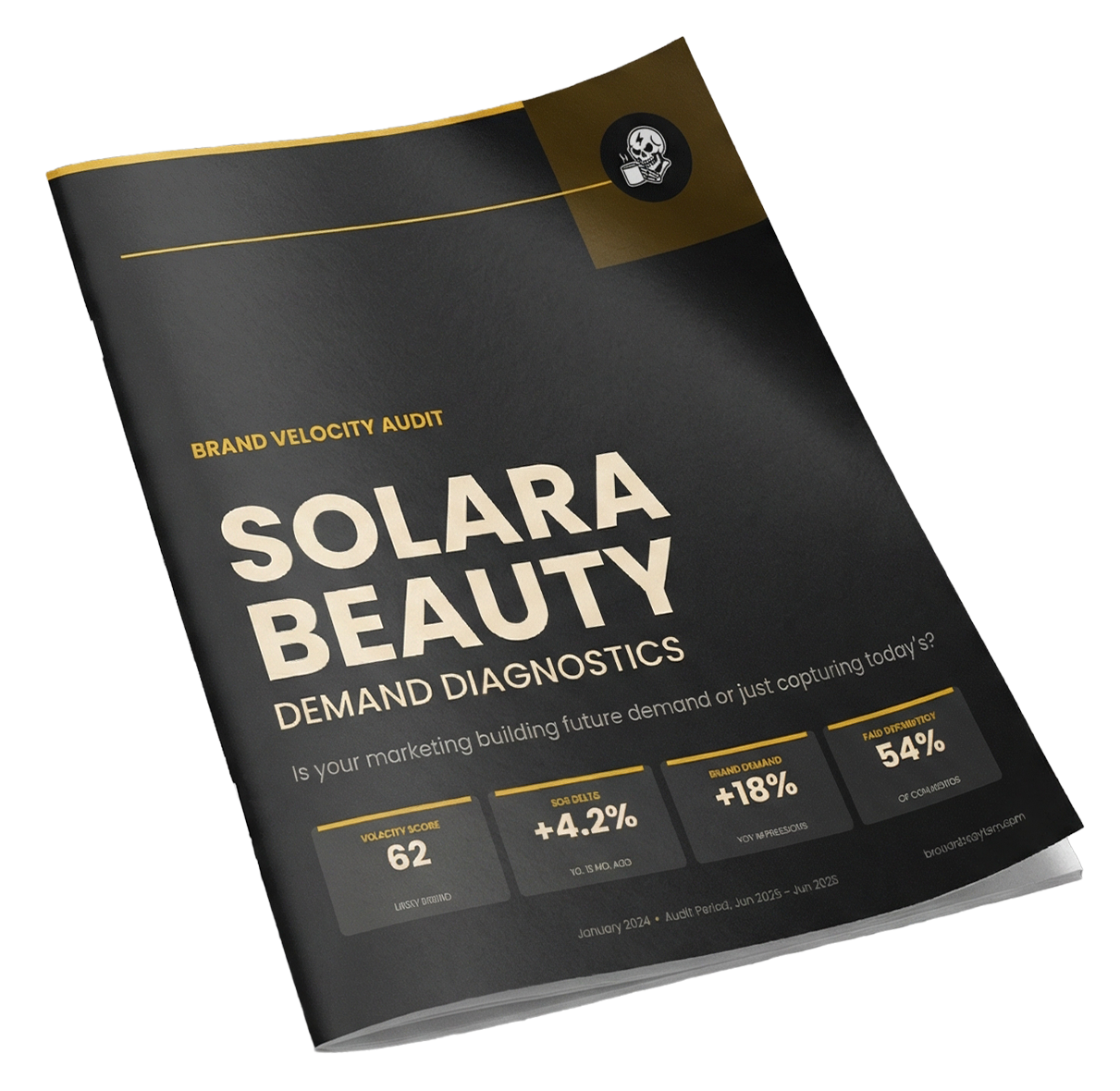 Brand Velocity Audit Example - Solara Beauty Demand Diagnostics