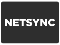 Netsync Branded Mayhem client logo - Netsync