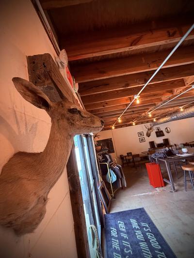 Moon Wolf mounted deer head looking into the cafe — doormat reads "IT'S GOOD TO HAVE YOU WITH US" Moon Wolf mounted deer head looking into the cafe — doormat reads "IT'S GOOD TO HAVE YOU WITH US"